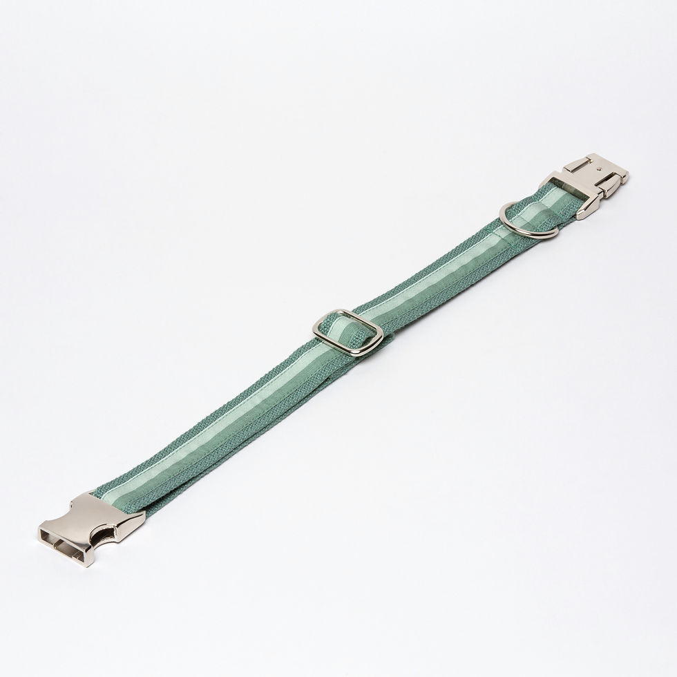 Thumbnail: Dog Collar Amalfi