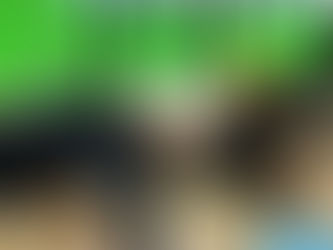 6月の活動