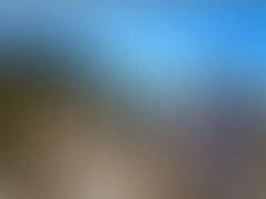 Second Meeting of Hueco's PUP Review