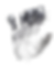 Melissa's Hand Print