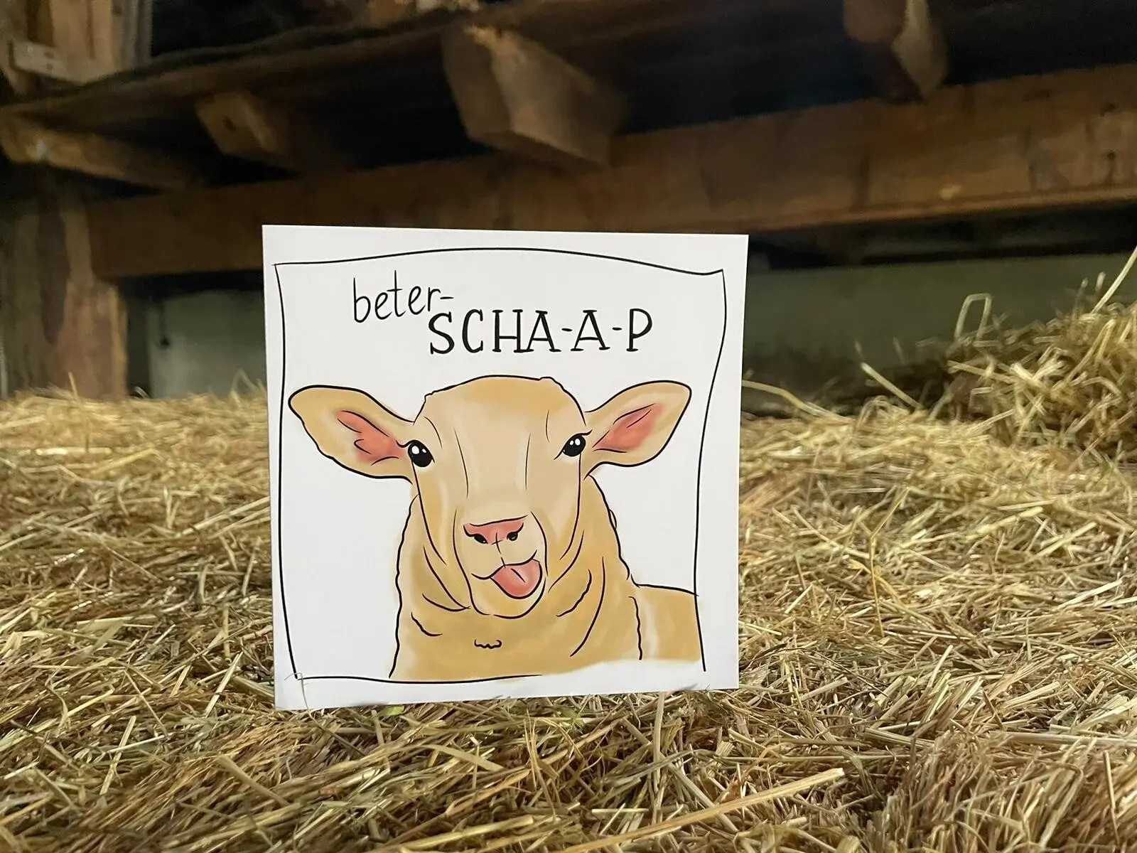 Wenskaart "Beter-scha-a-p"