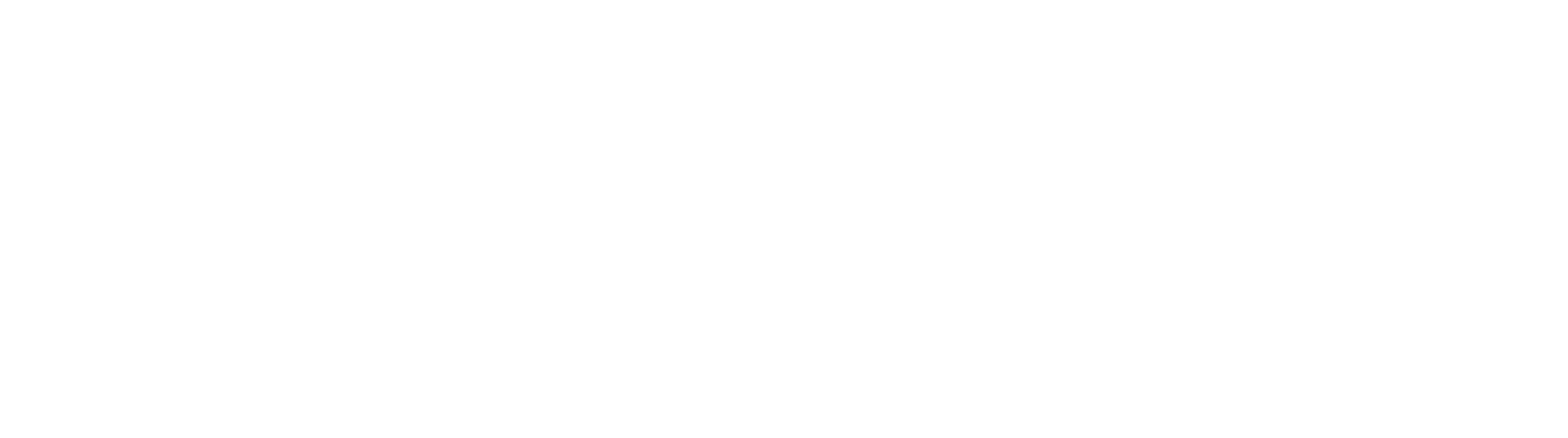 Brico Logo png final.png