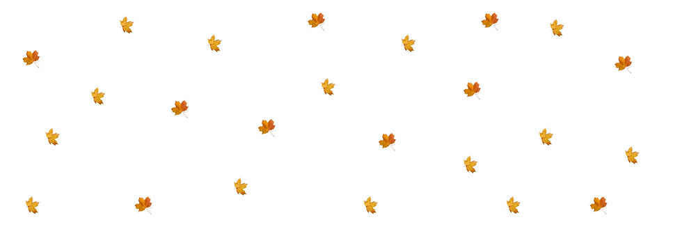 FALL SALE (1)_edited.jpg