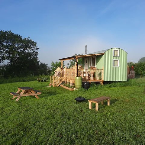 Shepherds Hut at Honey Meadow Retreat.jpeg