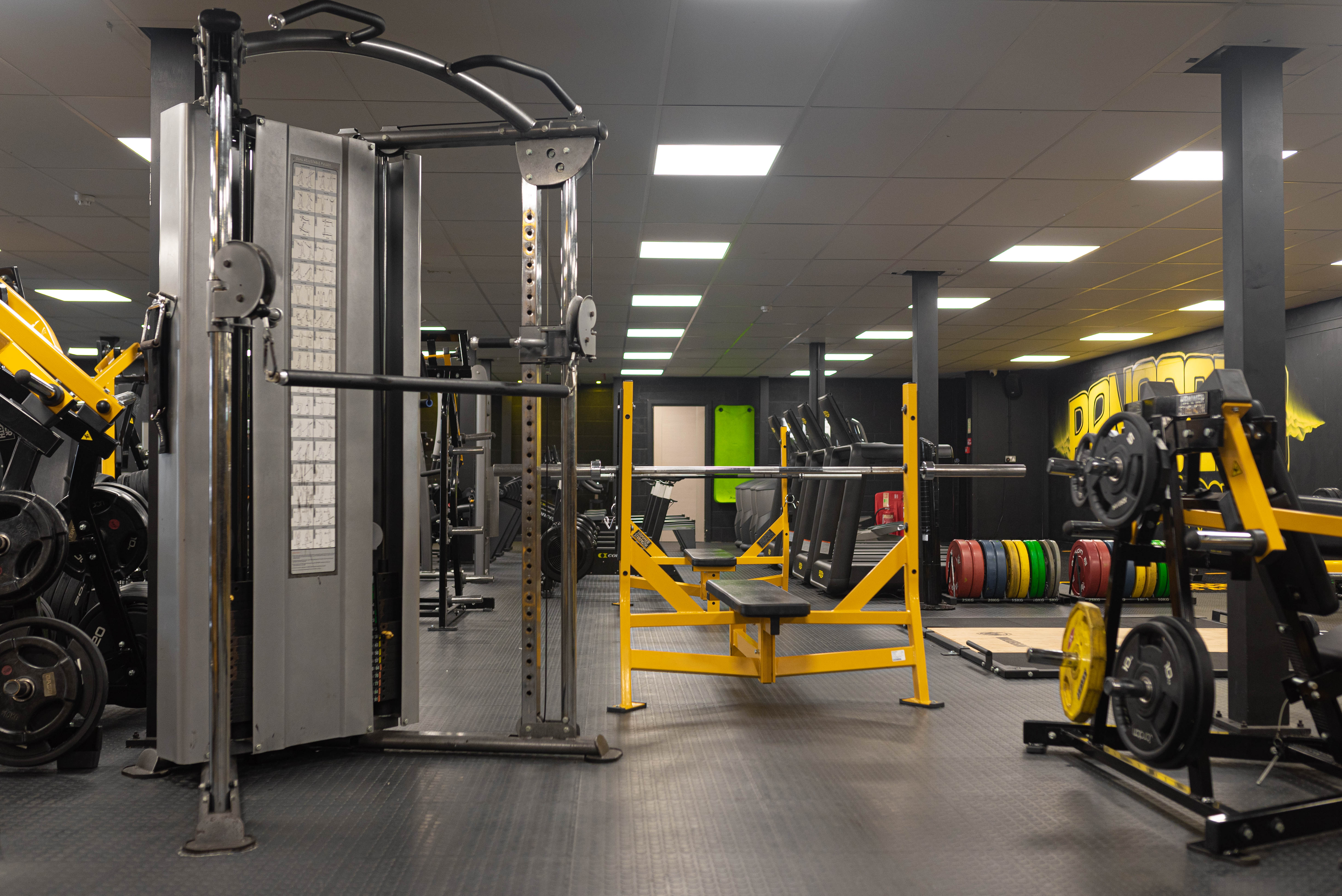 Renegade Fitness Academy photo