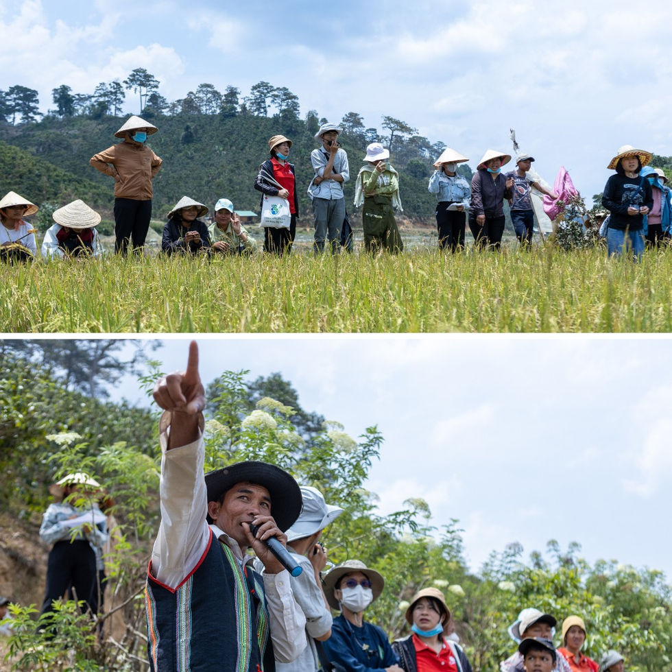 hands-on learning in Vietnam