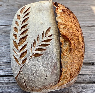 sprouted spelt.jpeg