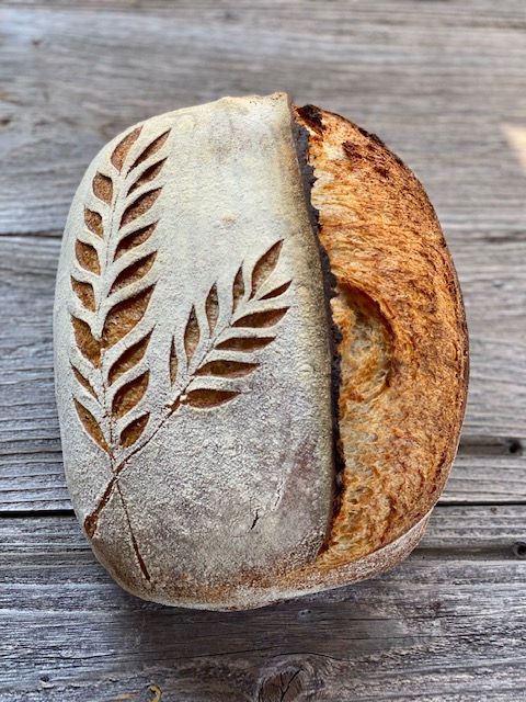 sprouted spelt