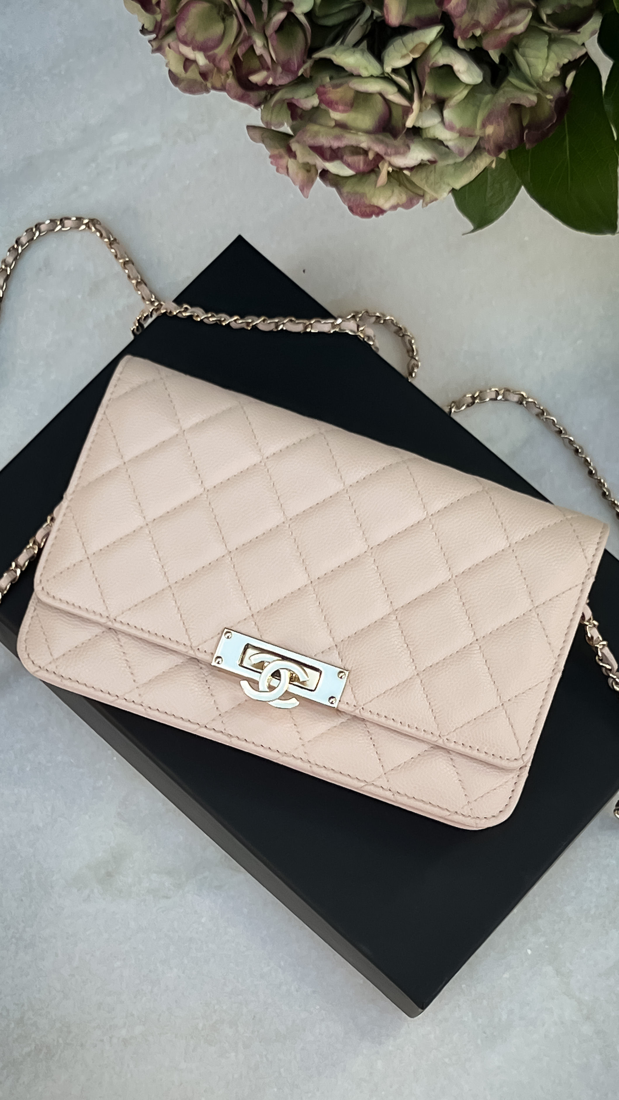 Chanel Beige Quilted Leather Golden Class WOC Wallet on Chain Bag