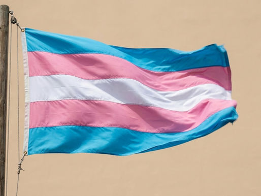 bandeira trans com ondulações de vento.