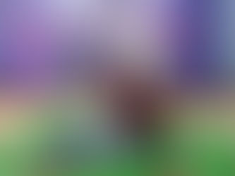 Fabián Cháirez llega a Clavijero con la expo “La inocencia de las bestias”: Secum