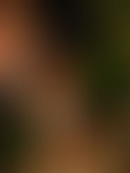 Michoacán se prepara para recibir la tradición huasteca del Xantolo: Secum