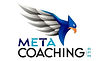 Meta Coaching