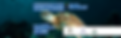 Your photo could be worth £1,000.png