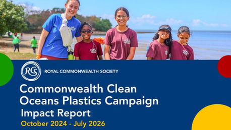 One Million Pieces of Plastic, and the Story Behind Them