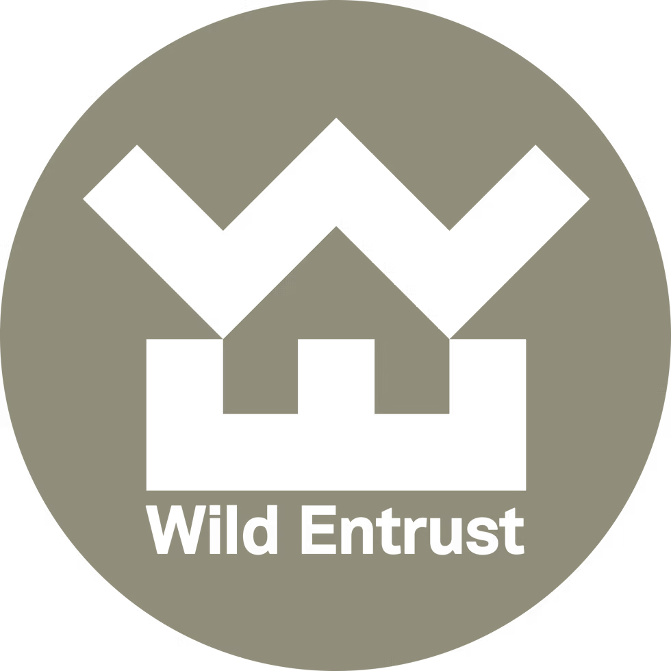 Writer: Wild Entrust Botswana