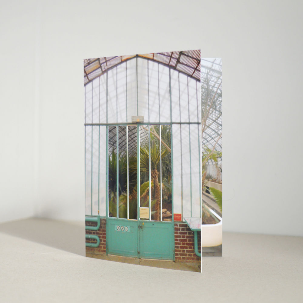 Palm House | Greeting Card