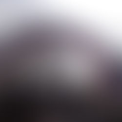 桜も終わり２９年度千葉で田植えが最盛期