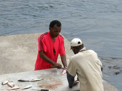 DSCN031403193