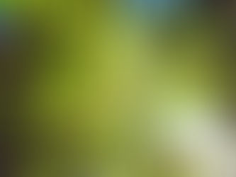  龍貞 一周生肖運勢(05/12-05/18) 