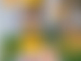 龍貞 十二生肖周運10/11~10/17