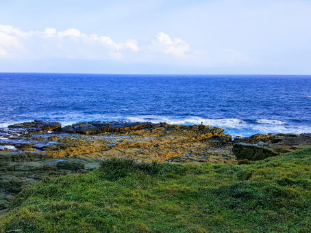 龍貞 一周生肖運勢(04/14-04/20) 