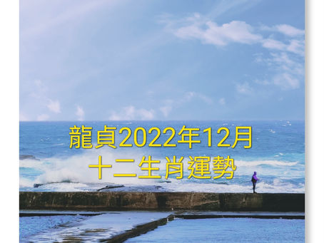 龍貞 2022年12月份12生肖運勢