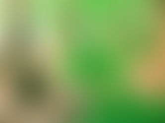 龍貞 一週生肖運勢(03/22-03/28) 