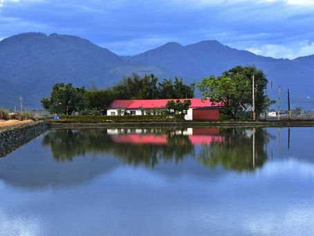 龍貞 一周生肖運勢(04/21-04/27)