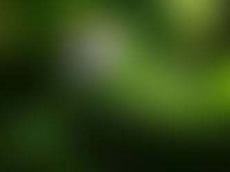 風水