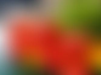 2019年3月12生肖運勢