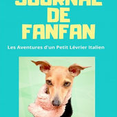 Le journal de Fanfan de Bri Vanhoren et Martine Tizon