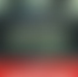 Les jumeaux de Piolenc de Sandrine Destombes