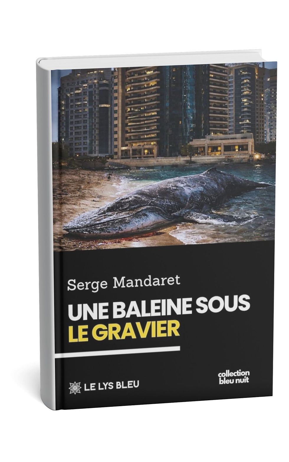 Une baleine sous le gravier, Serge Mandaret, Éditions Le Lys Bleu, Ma Folie Livresque