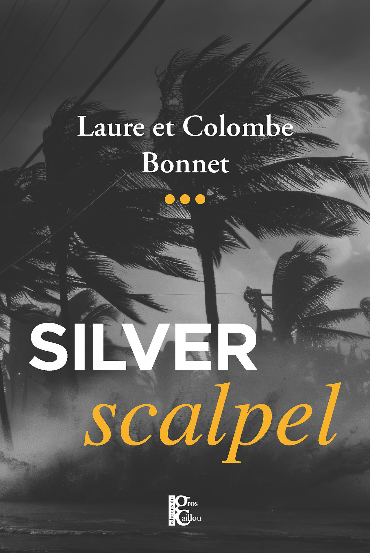 Silver scapel, Laure et Colombe Bonnet, Éditions du Gros Caillou, Ma Folie Livresque