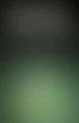 Les émeraudes de Satan, Mathieu Bertrand, Ma folie Livresque