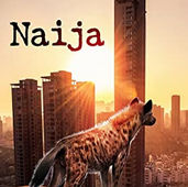 Naija de Thierry Berlanda