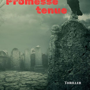 Promesse tenue de Jean DARDI