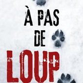 À pas de loup d'Isabelle Villain