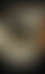 Urbex Sed Lex, Christian Guillerme, Ma Folie livresque