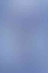 Meurtre au scalpel, Jean-Pierre Levain, Des Livres et du Rêve, Angie Lollia, Ma Folie Livresque