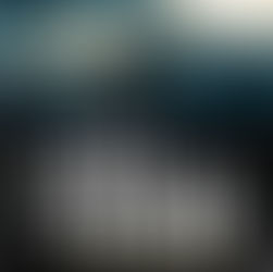 Le roi du silence de Claire Favan