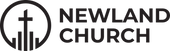 Newland LOGO TEST 4.png