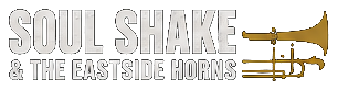 Soul_Shake_Compact_Header_Logo_Design4.png