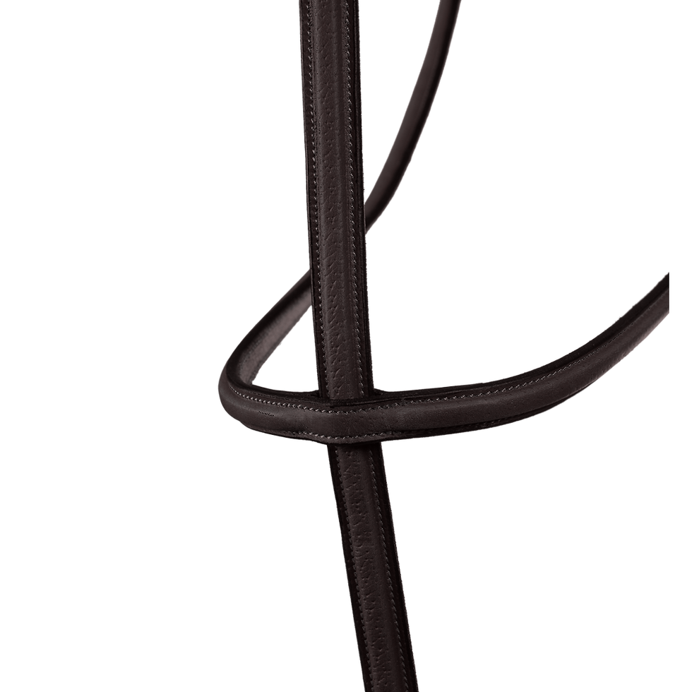 Thumbnail: Standing Martingale