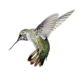 image 169.png