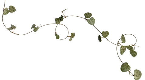 image 67.png