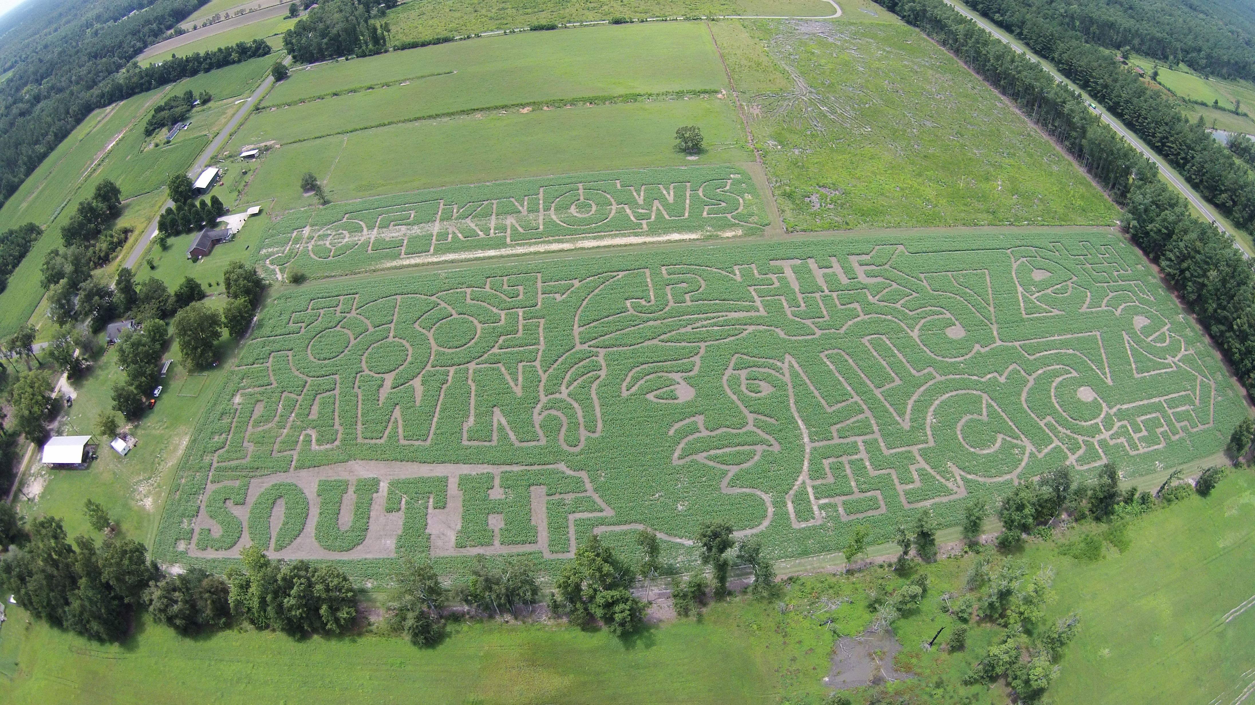 2015 Aerial Shot of Maze