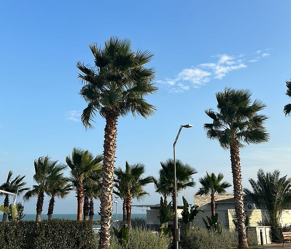 San Benedetto del Tronto is een leuke stad in Le Marche