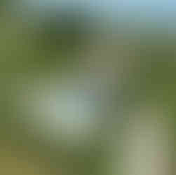 vakantiehuis in Italie met zwembad